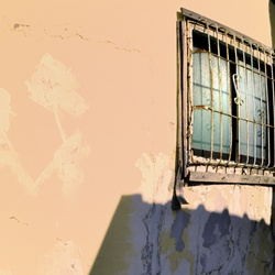dailyPhoto6