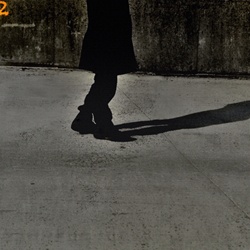 dailyPhoto3