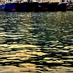 dailyPhoto5