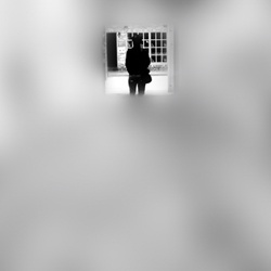 dailyPhoto6