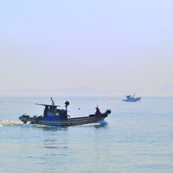 dailyPhoto1