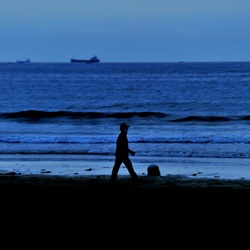 dailyPhoto10