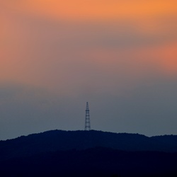 dailyPhoto16