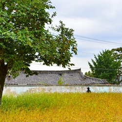 dailyPhoto4