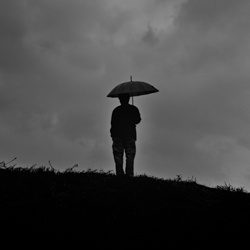 dailyPhoto40
