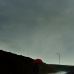 dailyPhoto20