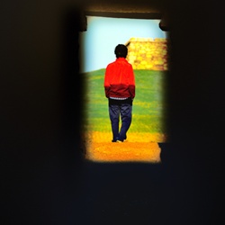 dailyPhoto6