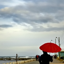 dailyPhoto9