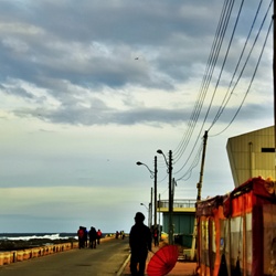 dailyPhoto7