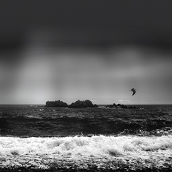 dailyPhoto26