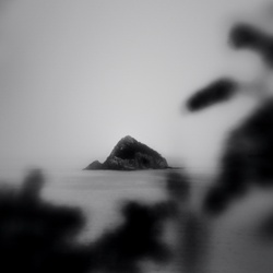 dailyPhoto16