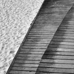 dailyPhoto20