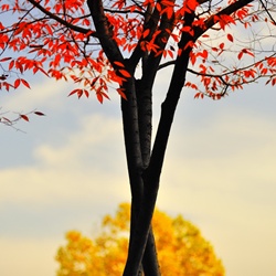 dailyPhoto28