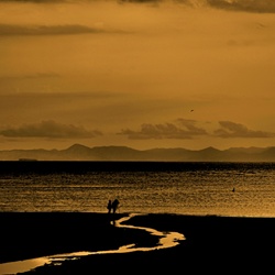 dailyPhoto24