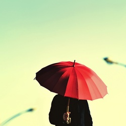 dailyPhoto6