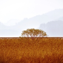 dailyPhoto40