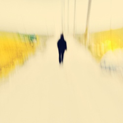 dailyPhoto36