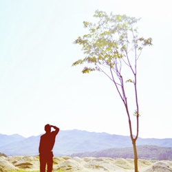 dailyPhoto36
