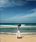 dailyPhoto15