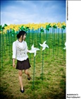 dailyPhoto11