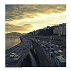 dailyPhoto39