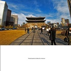 dailyPhoto10