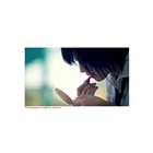 dailyPhoto1