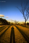 dailyPhoto12