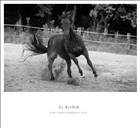 dailyPhoto9