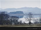 dailyPhoto28