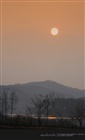 dailyPhoto35
