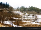 dailyPhoto9