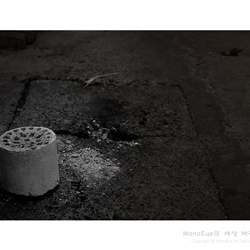 dailyPhoto19