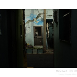 dailyPhoto21