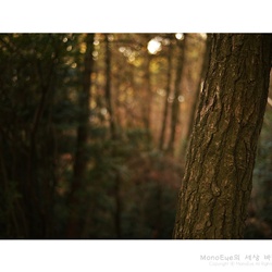 dailyPhoto32