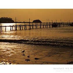 dailyPhoto23