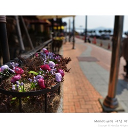 dailyPhoto29