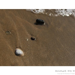 dailyPhoto19