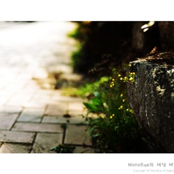 dailyPhoto24