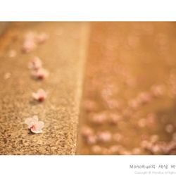 dailyPhoto5