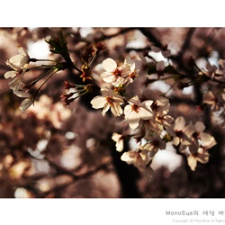dailyPhoto22