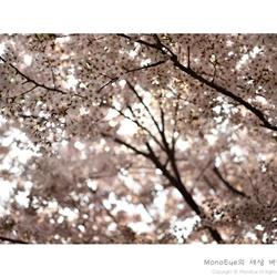 dailyPhoto31