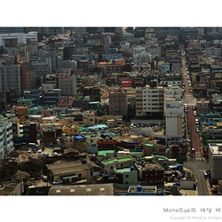 dailyPhoto9