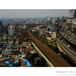dailyPhoto12