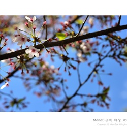 dailyPhoto11
