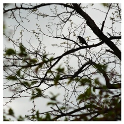 dailyPhoto20