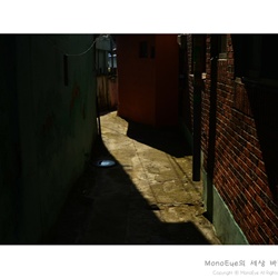 dailyPhoto11