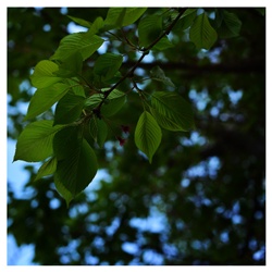 dailyPhoto8