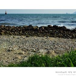 dailyPhoto39