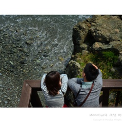 dailyPhoto9